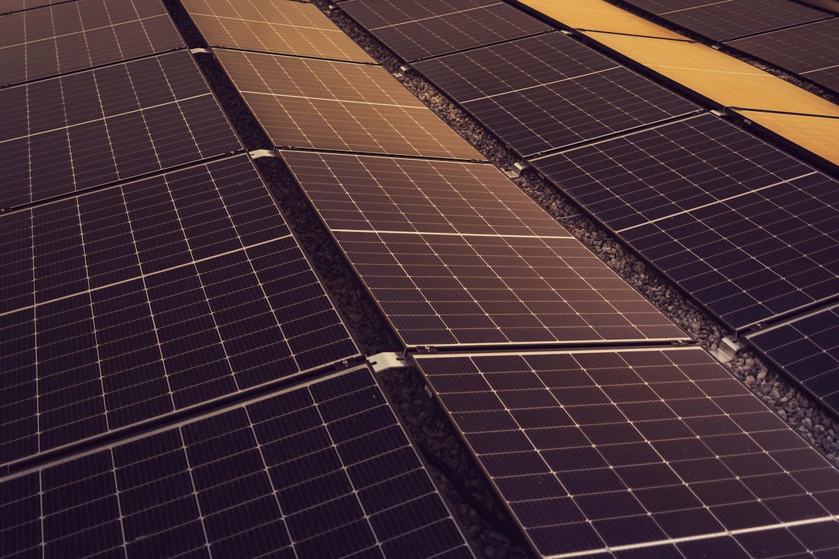 Rows of rooftop solar panels in low golden light - the lightning-exposed DC strings that IEC 61643-31 photovoltaic surge protective devices exist to protect